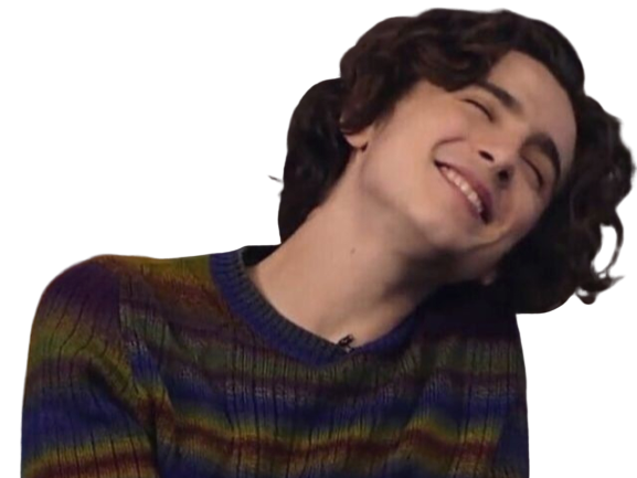 timothe chalamet acteur