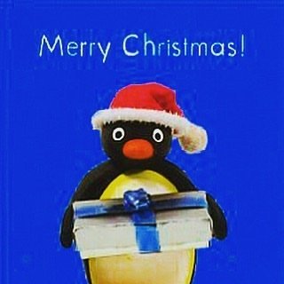 noel jvc pingu risitas