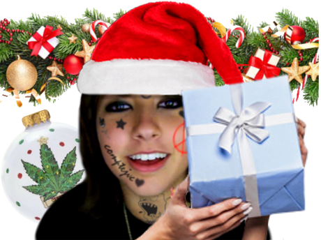 cadeau guirlande noel boxxy chapeau