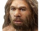wut-face-brun-choque-poker-other-pokerface-wait-oh-cromagnon-decu-neanderthal-prehistorique-prehistoire-what-chatain-roux