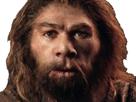 roux-ahuri-neanderthal-other-nez-intelligent-surpris-face-brun-wtf-cheveux