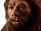 pensif-quarts-other-brun-pense-profil-neanderthal-trois-reflechit-face-reflexion