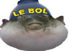 poisson-other-pot-pufferfish-lucky-bol-globe-chance-hasard
