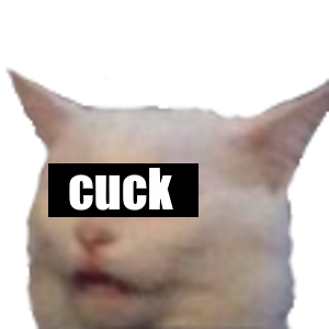 cat smudge catz risitas