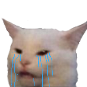 risitas smudge catz cat