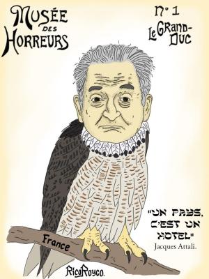 hibou duc attali risitas