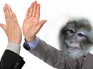 la-top-khey-magot-risitas-singe-sourire-issou-macaque-check