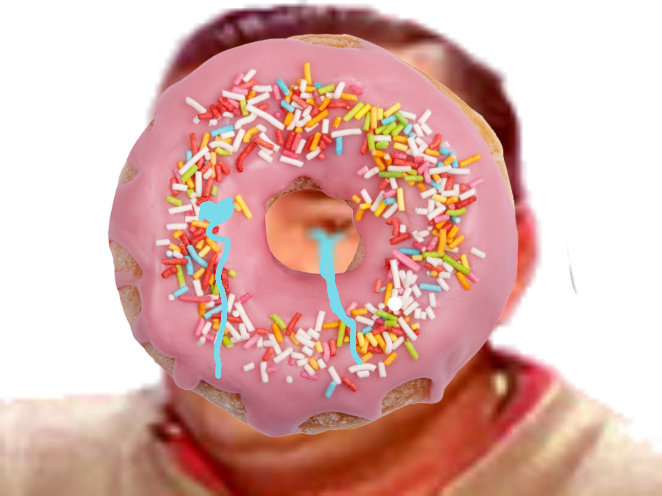 tison rire donuts issou risitas