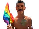 gaypride-drapeau-lgbtq-arc-ciel-en-sjw-risitas-gay