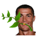 ronaldo paix qlf cr7 paz