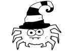 araignee-spider-other-chapeau