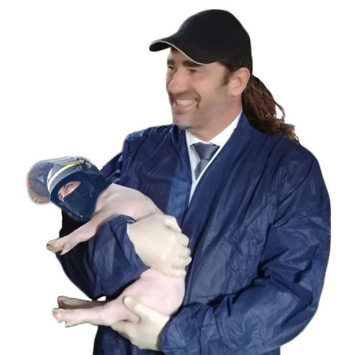 tresse politic cochon keuf crs castaner flic