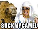 sheik-emirats-orient-argent-other-animal-petrole-saoudite-chamelier-trainee-arabie-instagrameuse-riche-camel-prince-chameau-arabe-pute-dubai-cheik-dromadaire