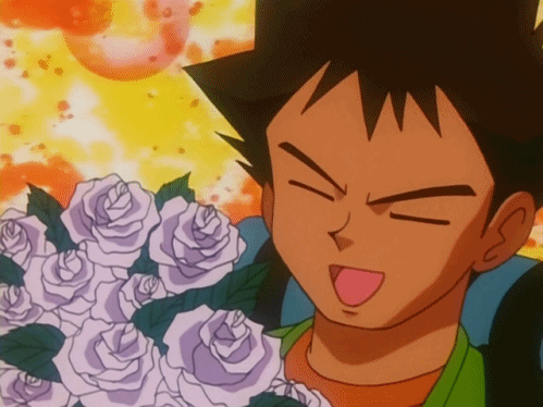 kikoojap pokemon brock pierre