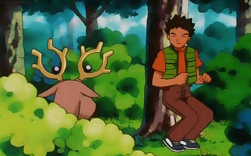 brock pokemon kikoojap pierre