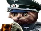 limbo-risitas-allemand-biere-chat