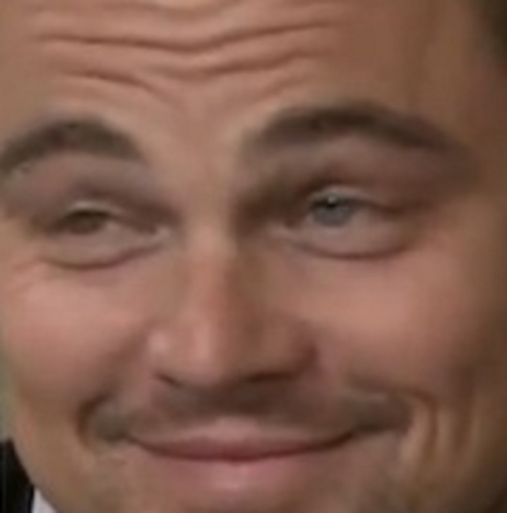 ironie jvc dicaprio really