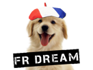 france-dream-dog-chien-french