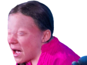 greta deforme ecolo eussou thunberg triggered rechauffement politic