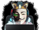 pc-anime-hack-sombre-hackeur-tinnova-ordinateur-pirate-mccloud-ordi-hacker-zero-occupe-fox-anonymous-anonyme-face-starfox