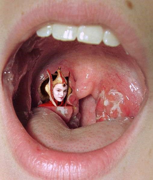 risitas star wars amidala