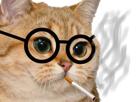 lunettes-hd-chat-risitas-cigarette-roux