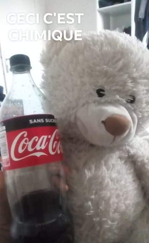 ceci gentil monde plus le nounours cest chimique du