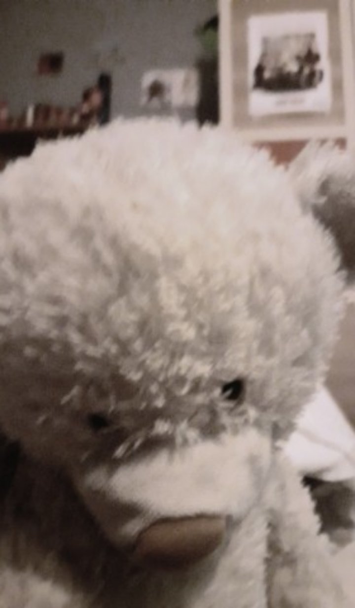 monde other le gentil decu plus et du nounours