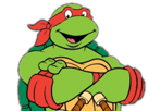 jvc-tortues-sourire-ninja-tortue
