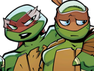 soutien-jvc-tortue-triste-ninja-aide-tortues