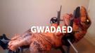 t-gwada-gwadaed-amplitude-rex-semoule-other-bench