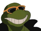 joie-lunettes-jvc-content-tortue-ninja-soleil-sourire-cool-rigole