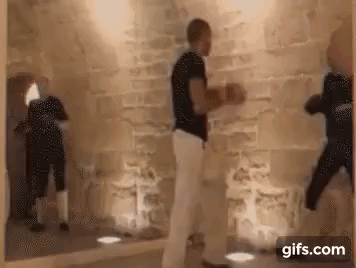 gif coup kick de boxing soral alain other savate boxe pied