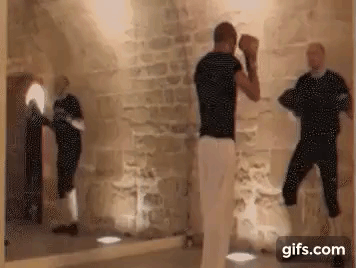 gif boxing soral de other savate coup alain boxe kick pied