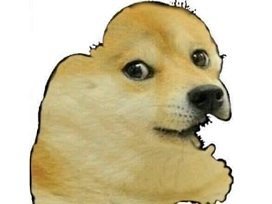 mains risitas chien kvlt dog juif