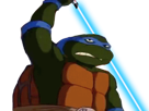 tortue-wars-jedi-laser-sabre-jvc-fight-combattant-ninja-star-sith