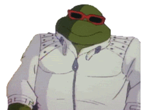 jvc mafia ninja tortue costume rap