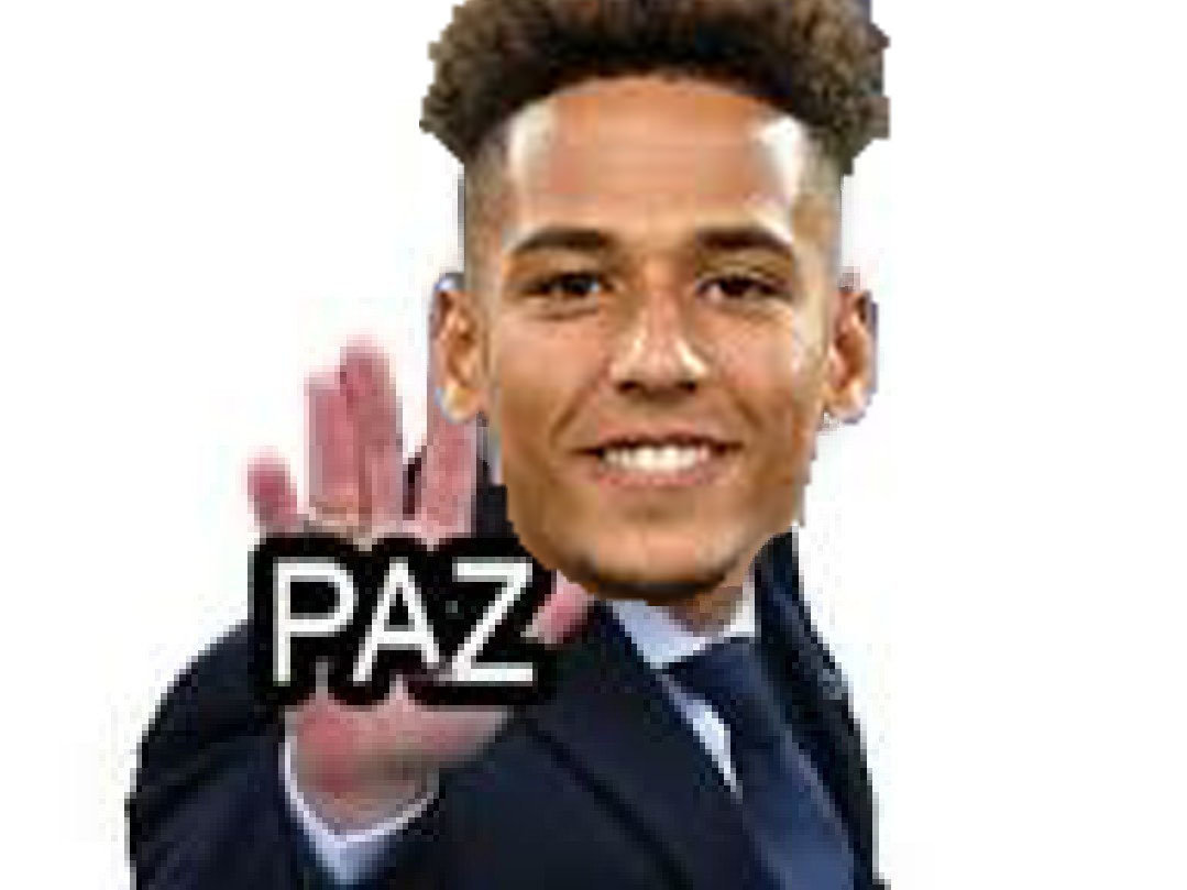 kehrer psg aliarensang