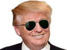 smile-cool-usa-lunettes-sournois-soleil-donald-president-trump-rire-sunglasses-trumped-sourire-politic-malin-swag-happy