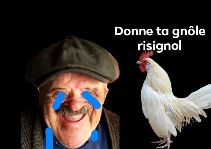 le risignol vole risitas coq
