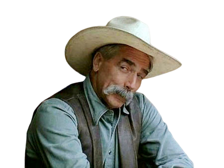 stranger cowboy lebowski big other the