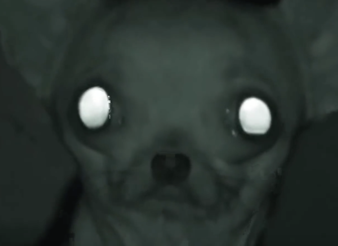 rubber paz twin aphex risitas