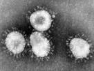 virus-alerte-pandemic-coronavirus