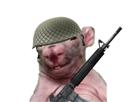 rat-soldat-risitas-wombat-ratte-peste