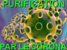 pandemie-virus-risitas-coronavirus-purification-le-corona-par