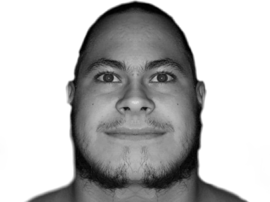 calvasse risitas bulkaldo chauve bulk ronaldo calvos