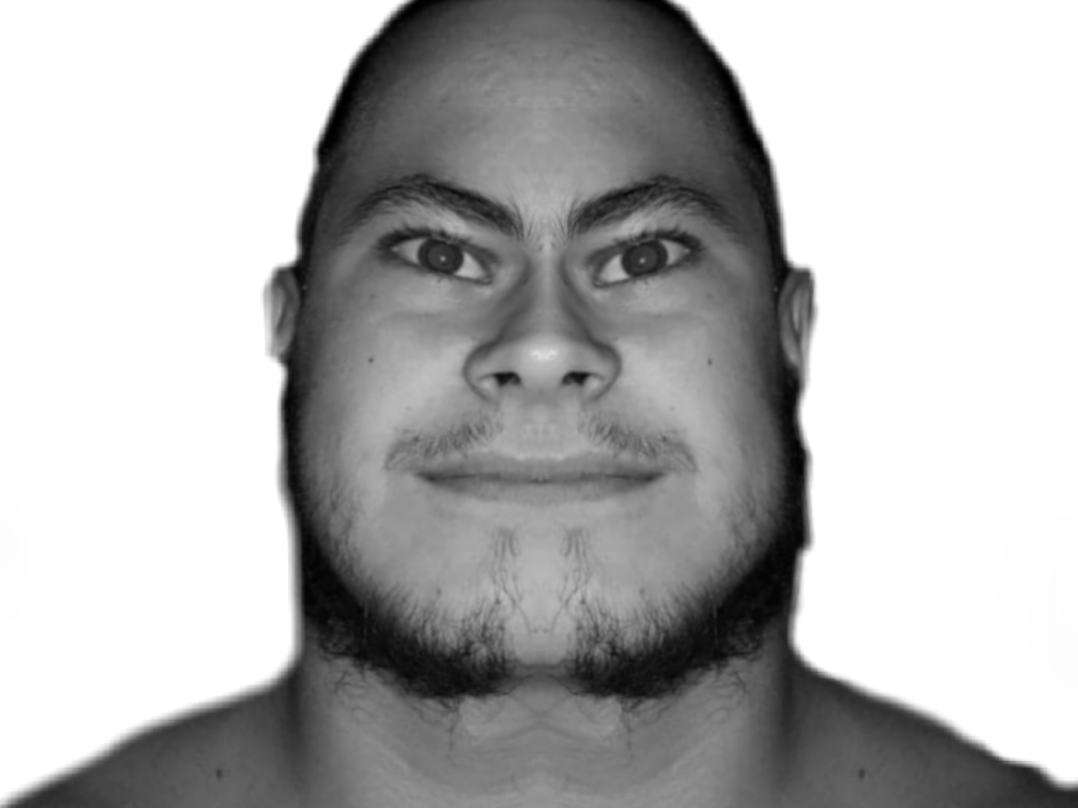 ronaldo chauve risitas calvasse bulk calvos bulkaldo