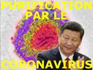 jinping-wuhan-effondrement-mort-xi-virus-risitas-infection-coronavirus-santo-purification-chine