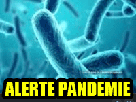peste-pandemie-purification-sida-fongique-chine-cancer-corronas-virued-coronas-bacterie-turbeculose-vih-infection-malade-virus-other-parasite-cholera-wuhan-infecte