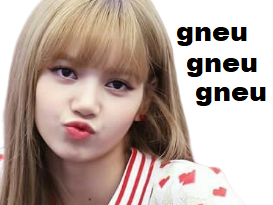 kpop lisa gneu